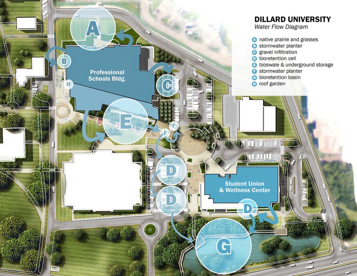 DILLARD UNIVERSITY EAST CAMPUS Dana Brown and Associates